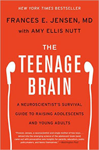 teenage brain 11